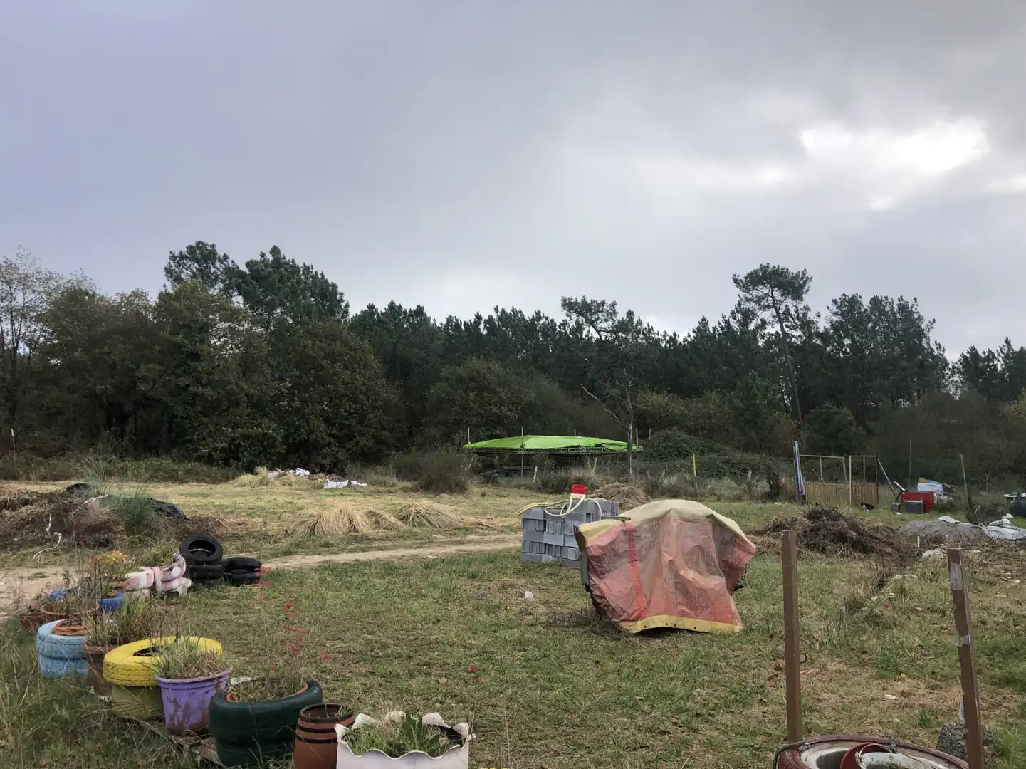 Terrenys i solars en venda a Santa Rosa - Finca Cierro Belga, Santa Rosa, imagen 3