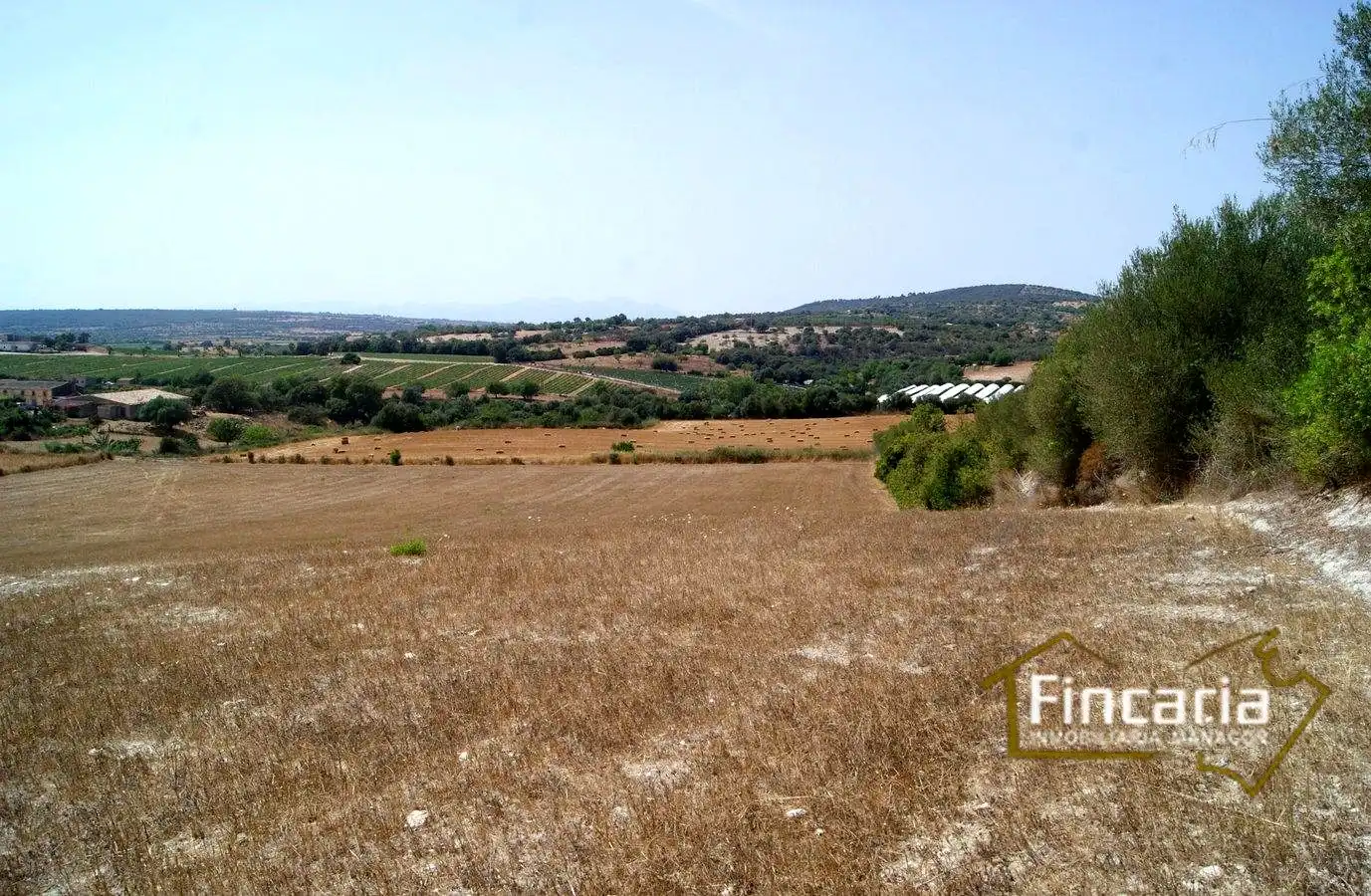 Terrenys i solars en venda a Camí de sa Murtera, imagen 20