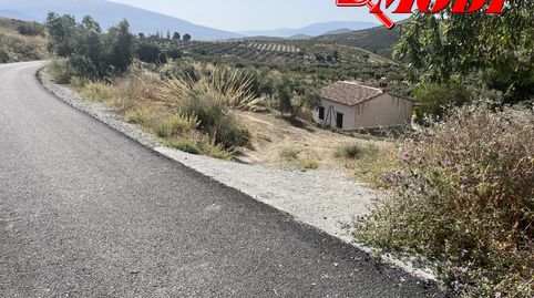 Puedes imaginarte en este bonito lugar? Rodeado de olivos  88 aprox con buenas vistas, en esta finca de secano con casi 11 marjale, immagine 2