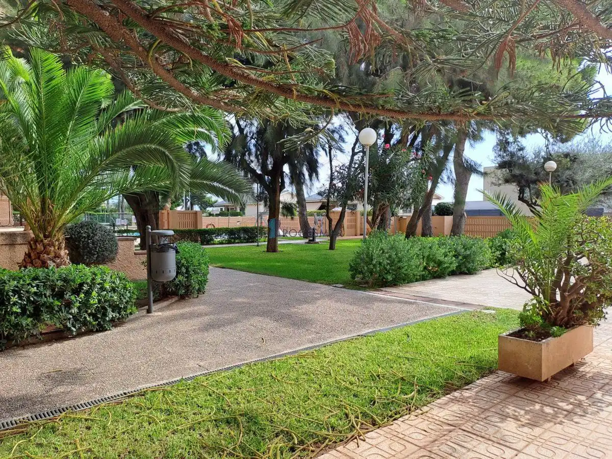 Apartament amb piscina en venda a Avenida Ferrandis Salvador 56, imagen 41