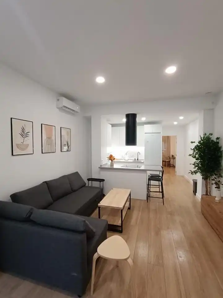 Sala d'estar de Pis de lloguer en Barrio de Salamanca