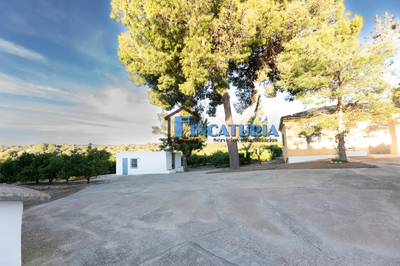 Vista exterior de Finca rústica en venta en Manises con Jardín privado y Terraza