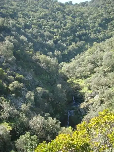 Terreni e lotti in vendita a Alcántara, imagen 3