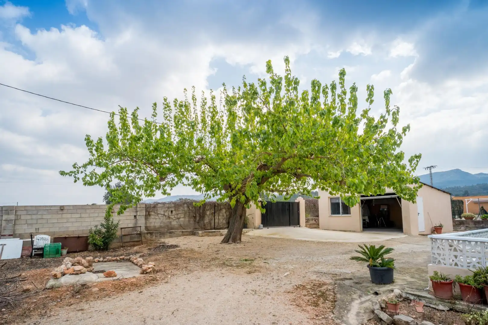 Vista exterior de Casa o chalet en venta en Canals