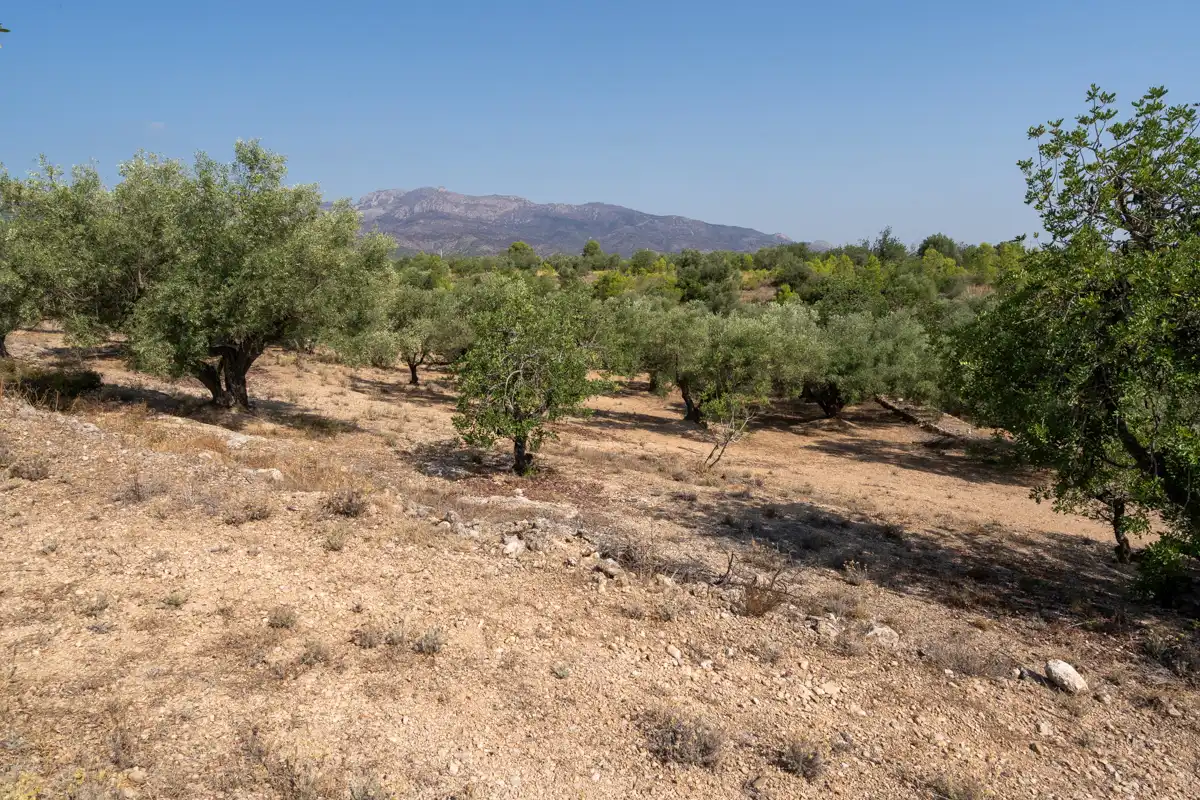 Terrain rustique à vendre à Carrer Barceloneta 15, imagen 15