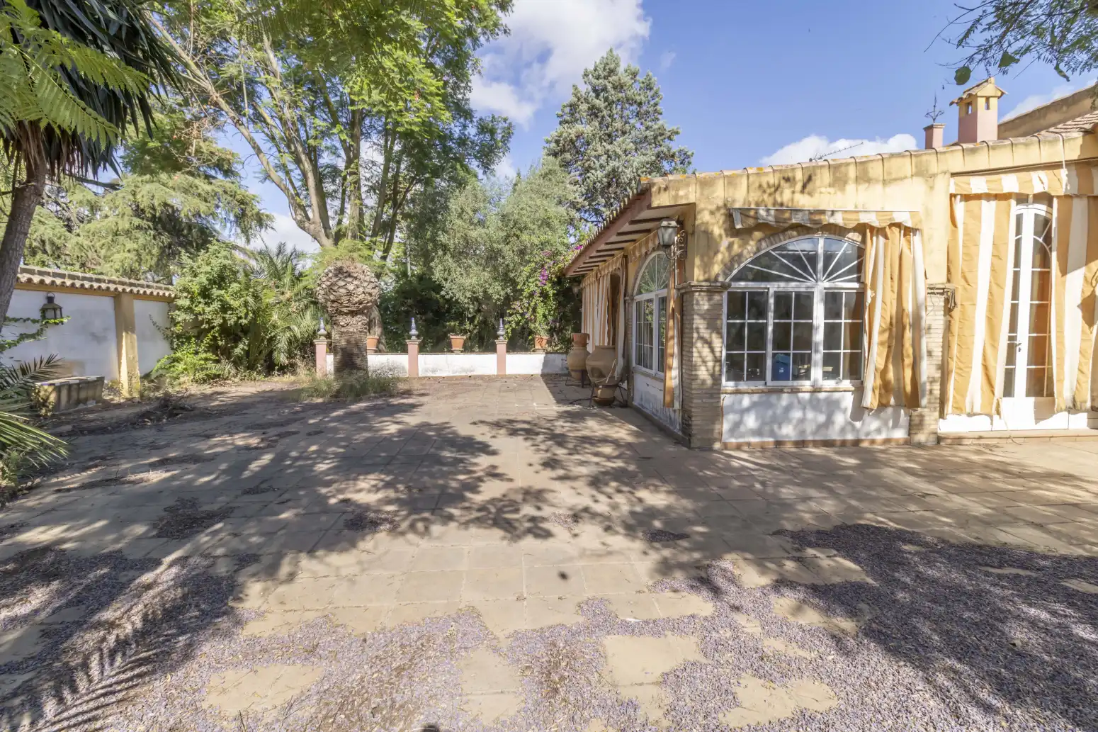 Casa amb piscina en venda a Loreto, imagen 3