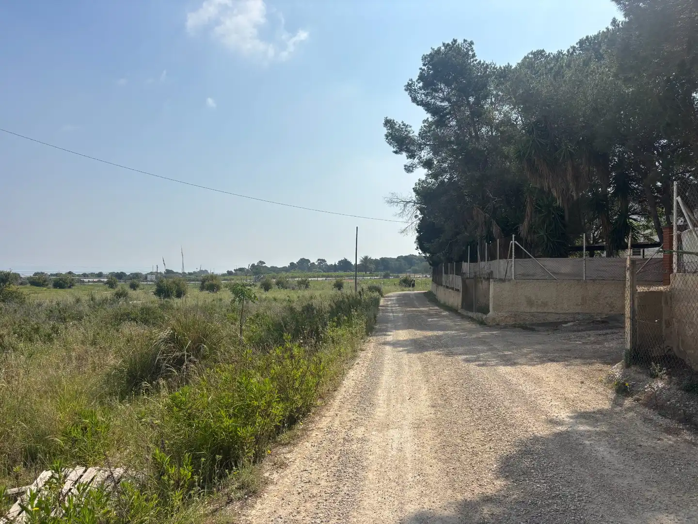 Grundstücke zum Verkauf in Elche / Elx