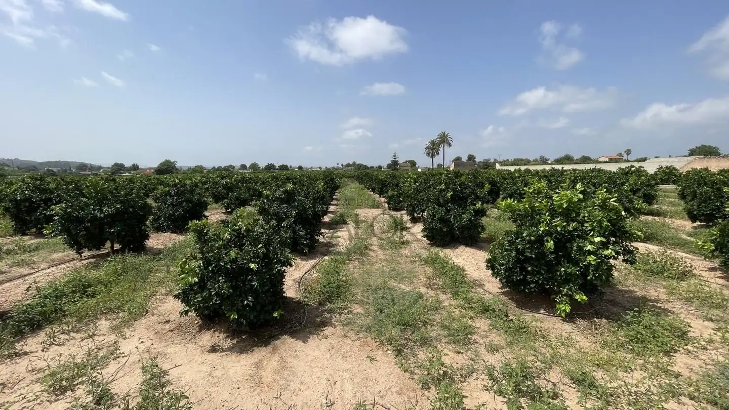 Finca rústica en venda en Alzira