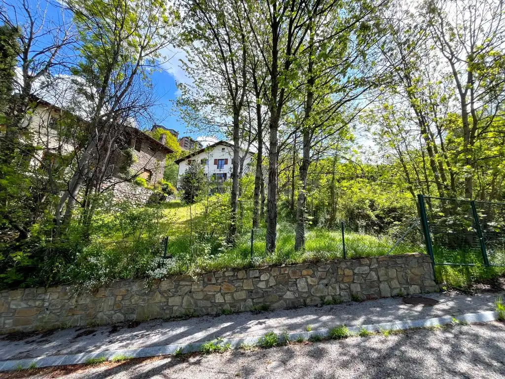 Casa o xalet en venda a Camí de les Moles, L'Aldosa - Anyós
