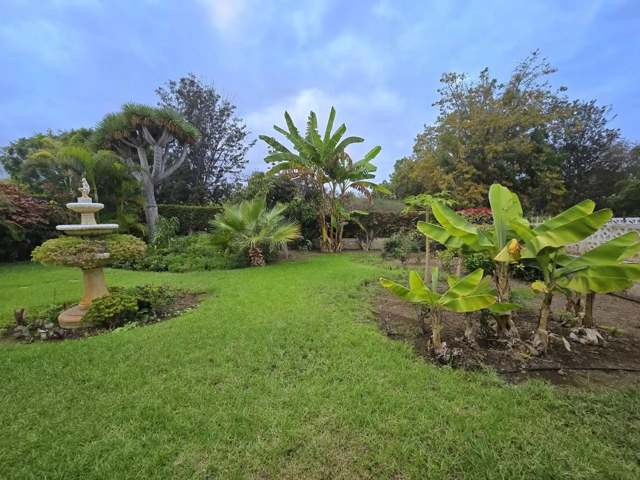 Jardí de Casa o xalet en venda en Puerto de la Cruz amb Jardí privat i Terrassa