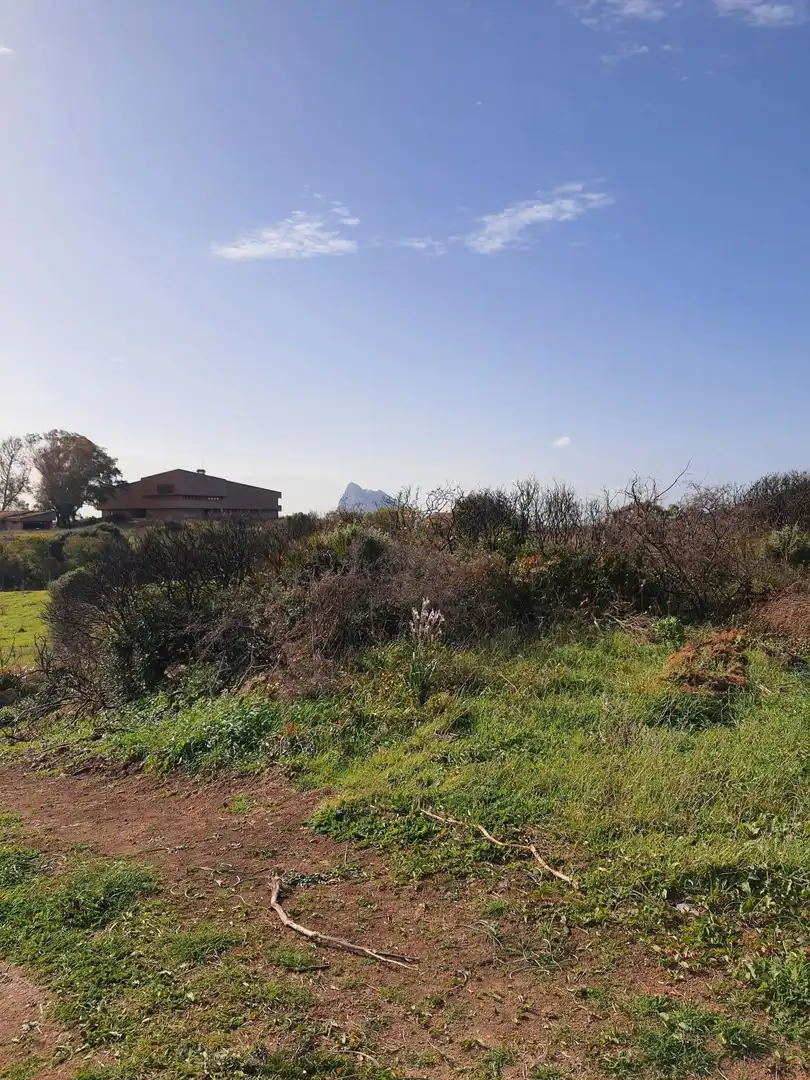 Residencial en venta en La Línea de la Concepción