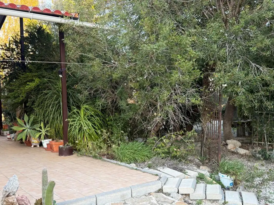 Jardín de Finca rústica en venta en Molina de Segura con Aire acondicionado, Calefacción y Jardín privado
