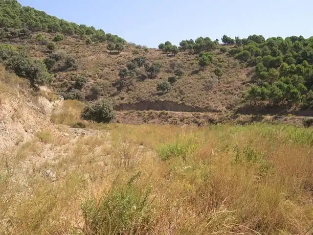 Terreni e lotti in vendita a Sedella, imagen 2