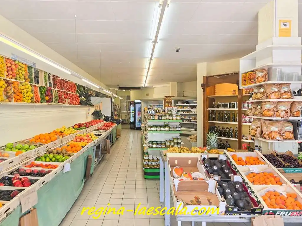 Locale commerciale in vendita a Riells
