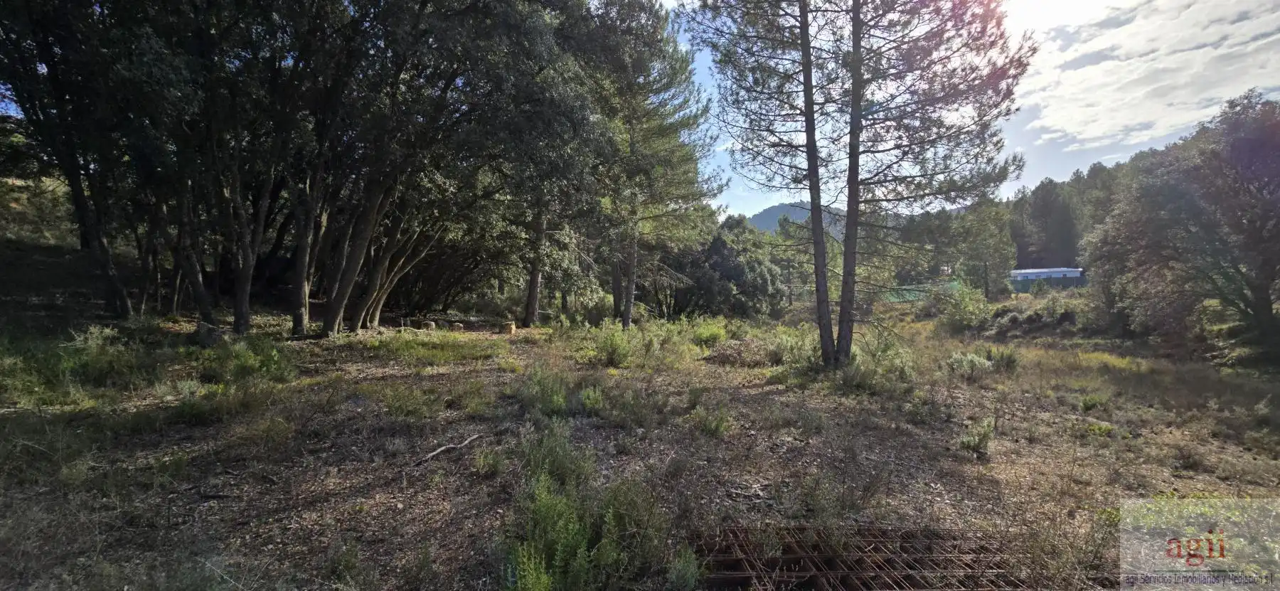 Terrain résidentiel à vendre à Trillo, imagen 2