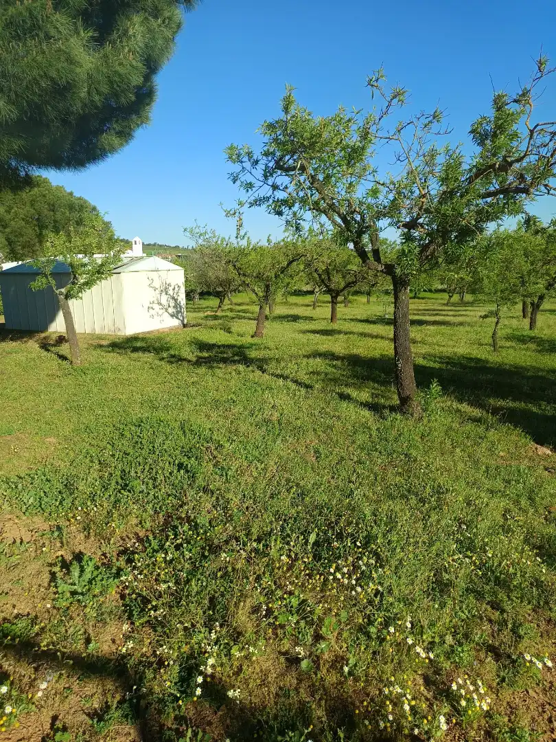 Casa rústica con piscina en venta en Zafra, imagen 9