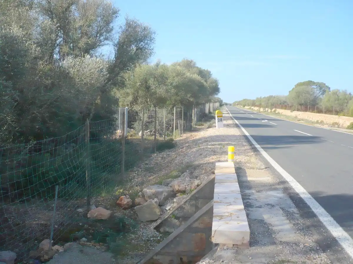 Terreno rustico in vendita a Ma-6014 Km 24, imagen 10