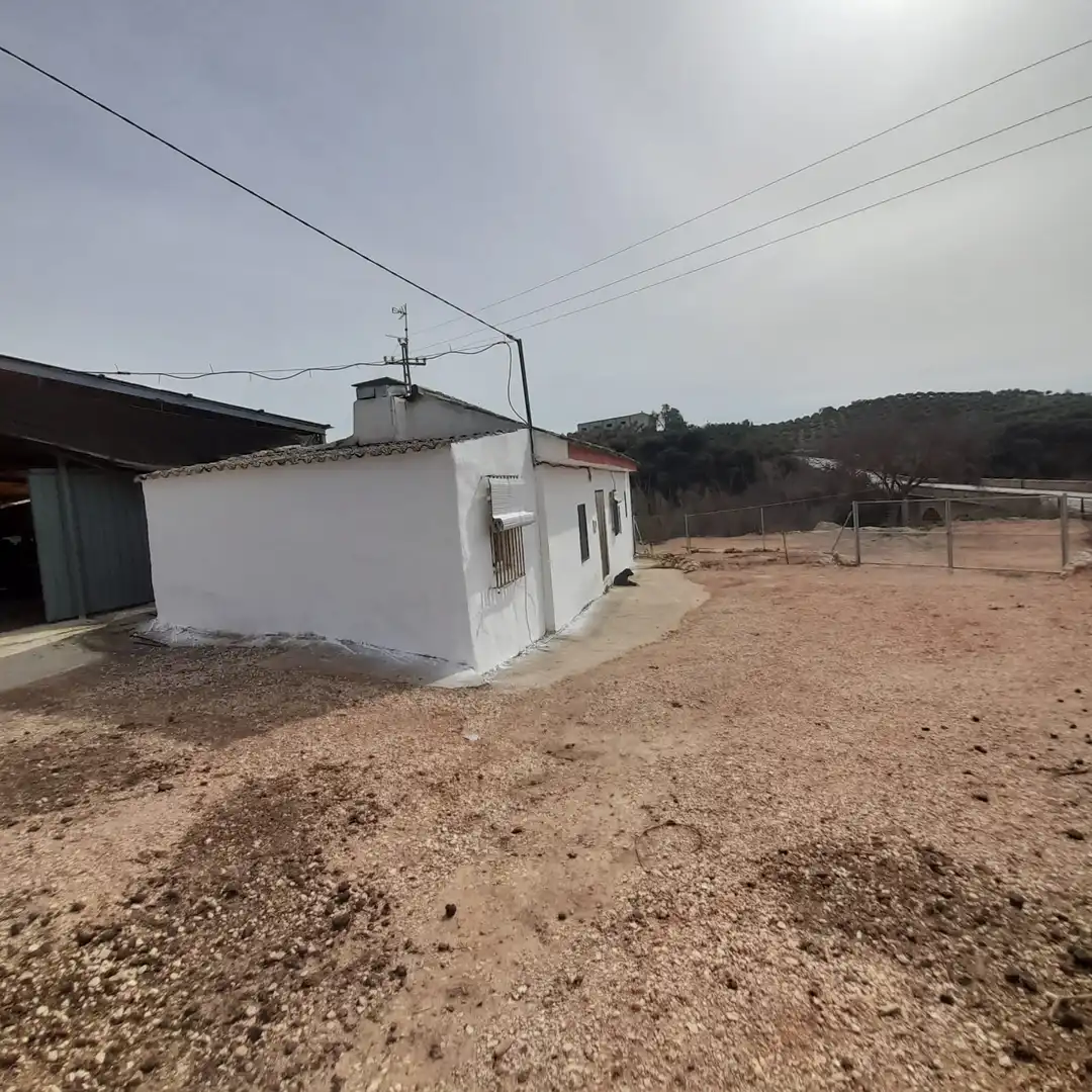 Vista exterior de Finca rústica en venda en Encinas Reales