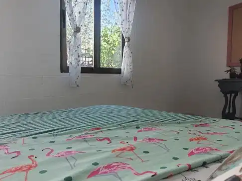 Villa con giardino in vendita a Carrer Nou 10, imagen 35