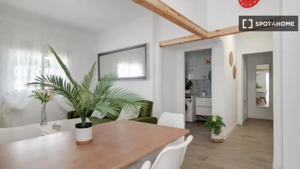 Room in Roche
