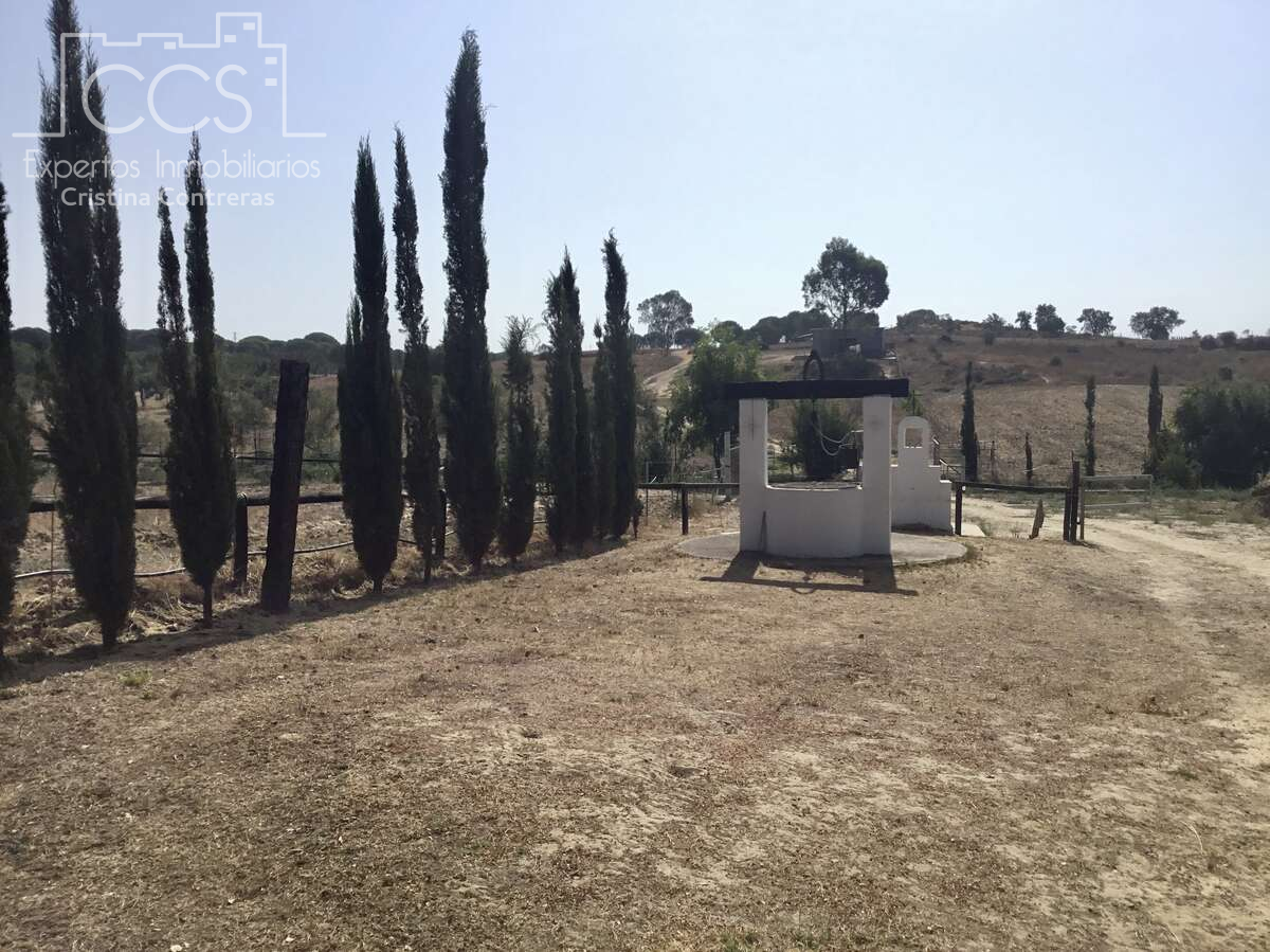 Finca rústica en venda en Almonte amb Traster i Moblat