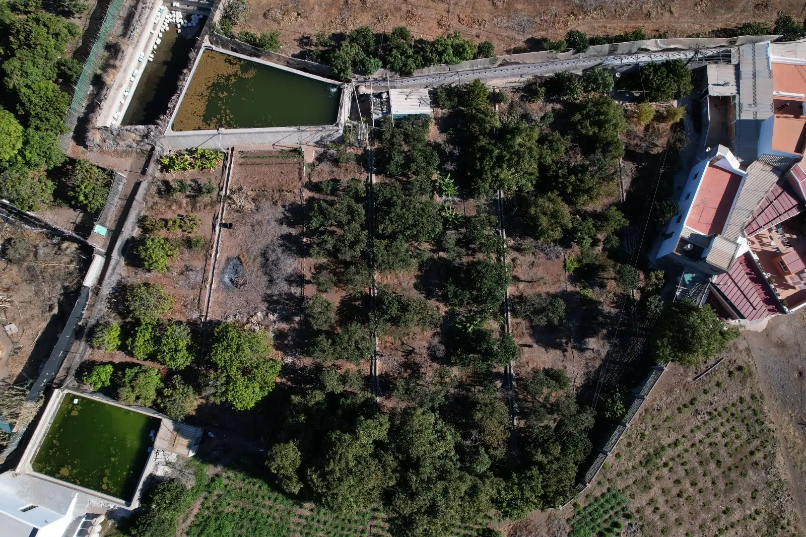 Casa rústica con jardín en venta en La Aldea de San Nicolás, imagen 13
