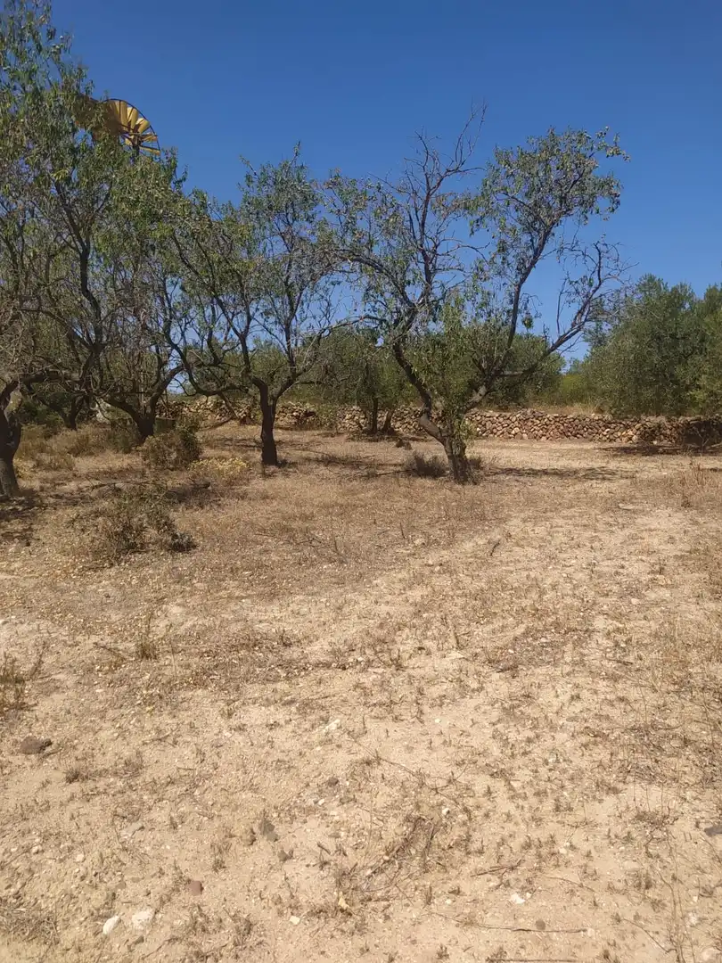 Terreno rustico in vendita a Riudecanyes, imagen 7