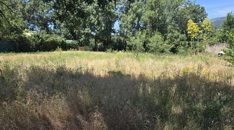 Foto 2 de Finca rústica en venta en Urbanización La Moraleja, La Moraleja