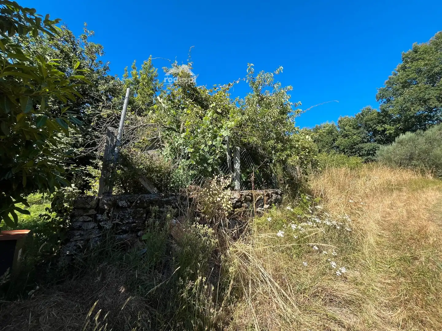 Casa o chalet en venta en Piñor con Trastero y Amueblado
