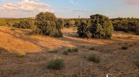 Photo 4 of Residential for sale in Avenida Monte Sion, 324, Los Cigarrales-La Bastida,  Toledo Capital