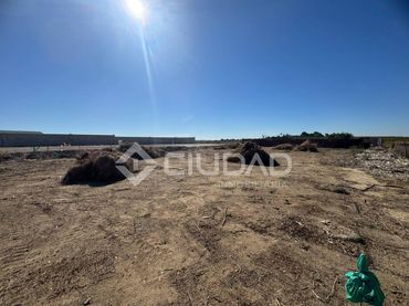 Terreno rústico en venta en Las Palmeras - Dehesilla