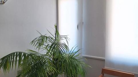 Foto 2 de Oficina de lloguer a Avenida Doctor Marañón, 1, Pinar Alto, El Puerto de Santa María