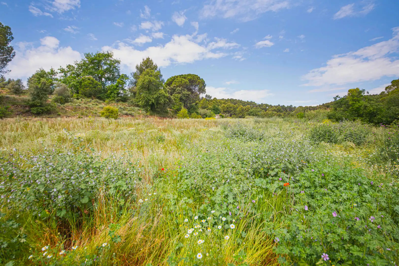 Casa o chalet en venta en Sant Quintí de Mediona con Calefacción, Jardín privado y Terraza
