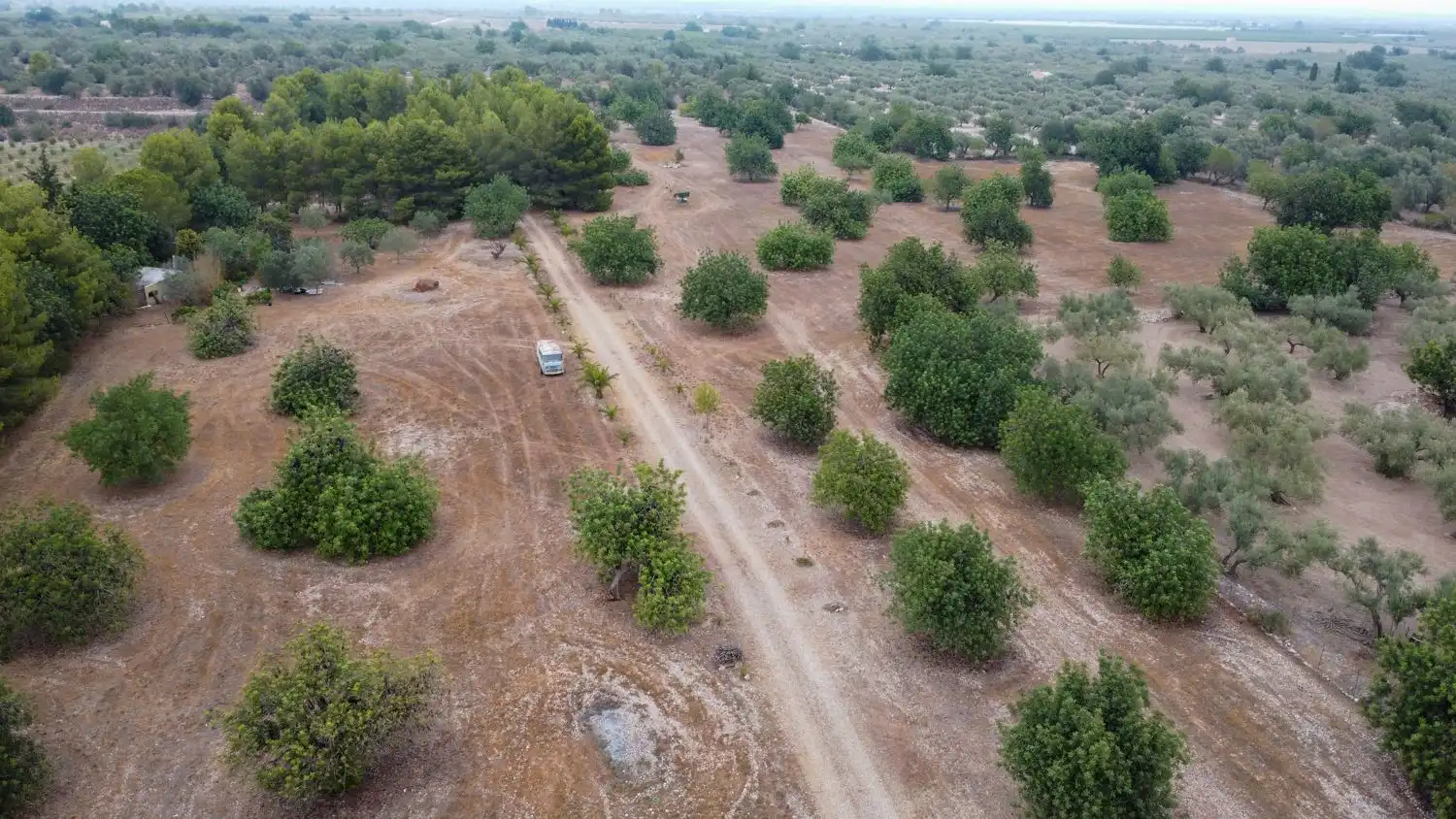 Terrain rustique à vendre à Roquetes, imagen 21