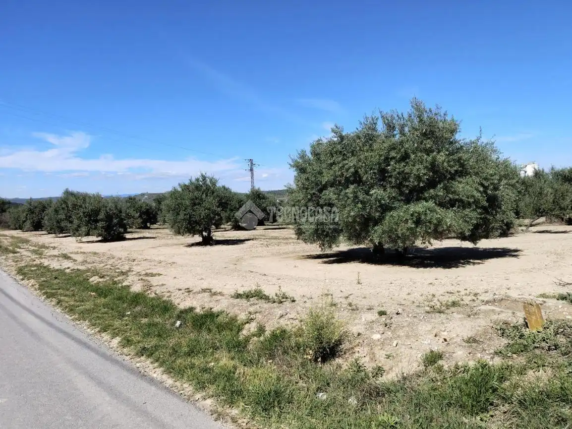 Rural land for sale in Mengíbar, imagen 9