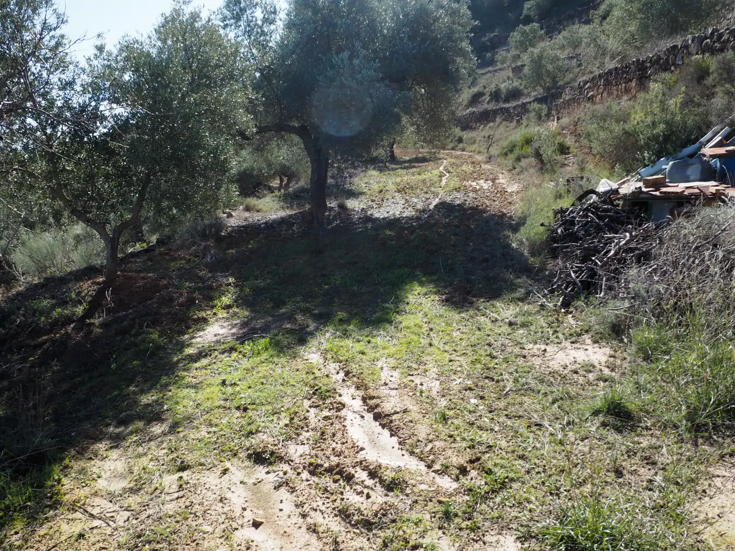 Rustikales Grundstück zum Verkauf in Carretera de Riba-roja, imagen 9