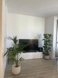 Living room of Flat for rent in Poblats Marítims