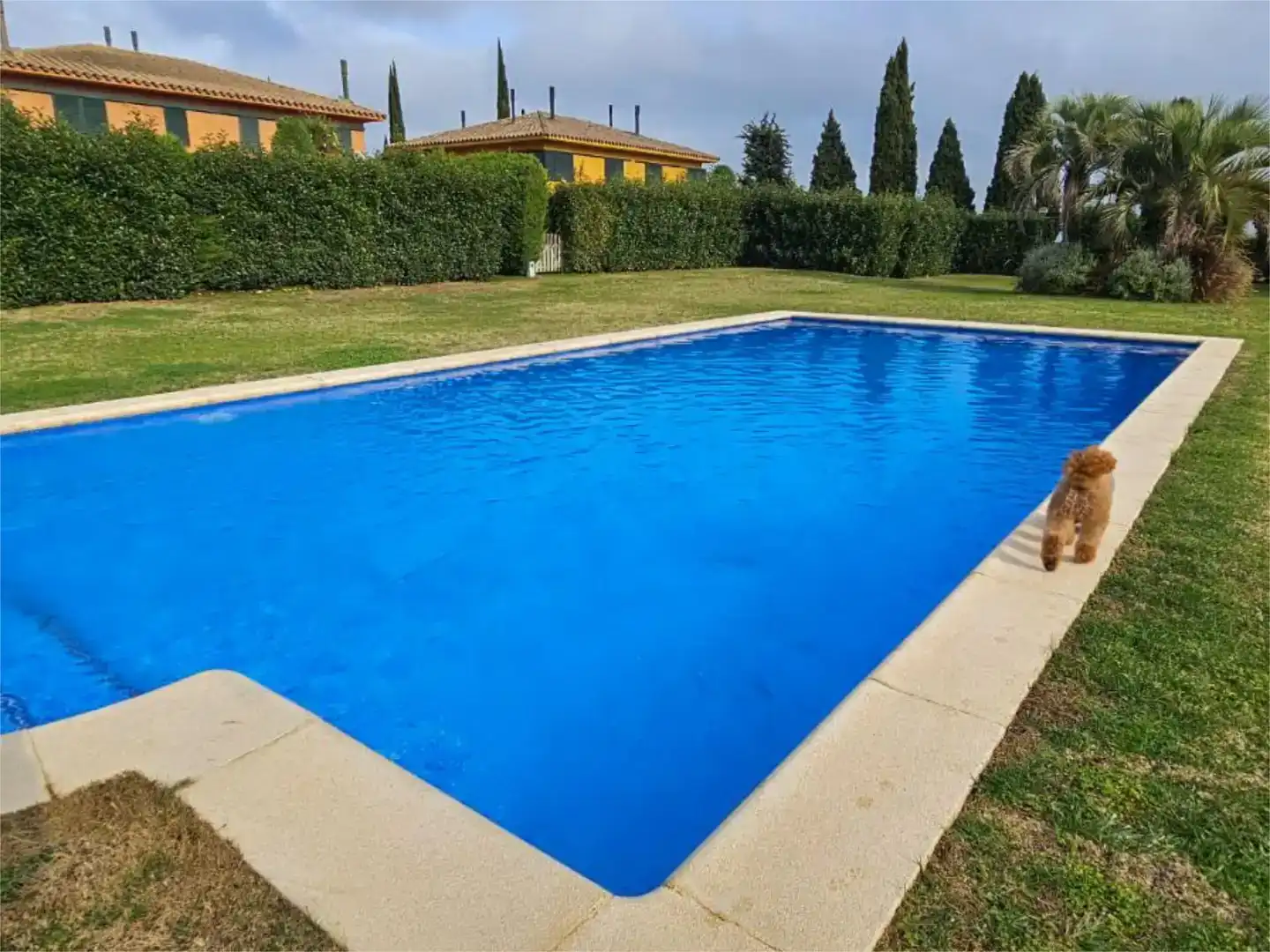Piscina de Piso en venta en Navata con Aire acondicionado, Jardín privado y Trastero