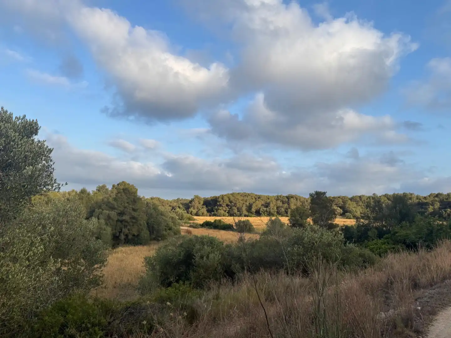 Country house for sale in Nord, imagen 6