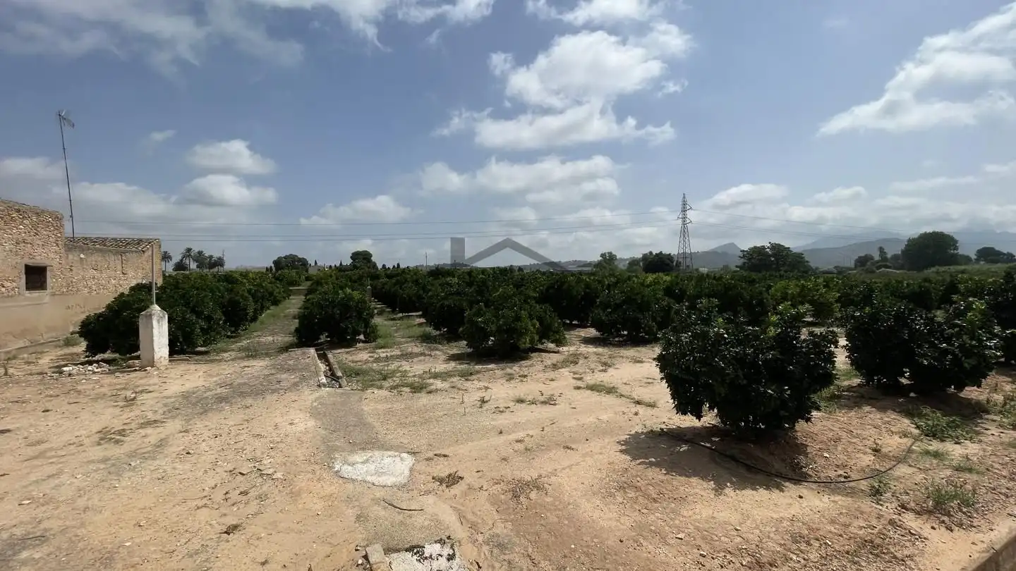 Finca rústica en venda en Alzira