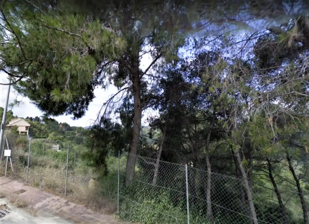 Terreny rústic en venda a C/ 9, imagen 3