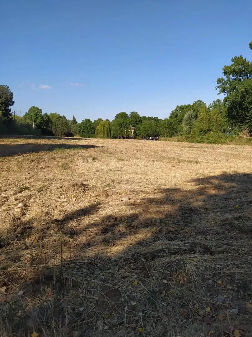 Finca rústica en venta en Riells i Viabrea