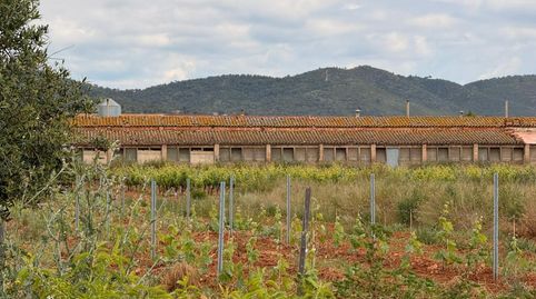 Finca Rúst. en venta en Masllorenç.