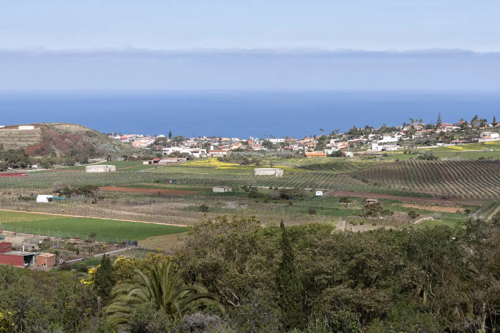 Vista exterior de Finca rústica en venta en Tegueste con Jardín privado, Terraza y Horno