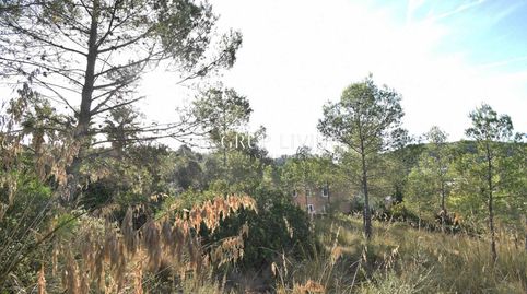 TERRENO CON BUENA ORIENTACIÓN Y VISTAS EN MAS MESTRE, immagine 2