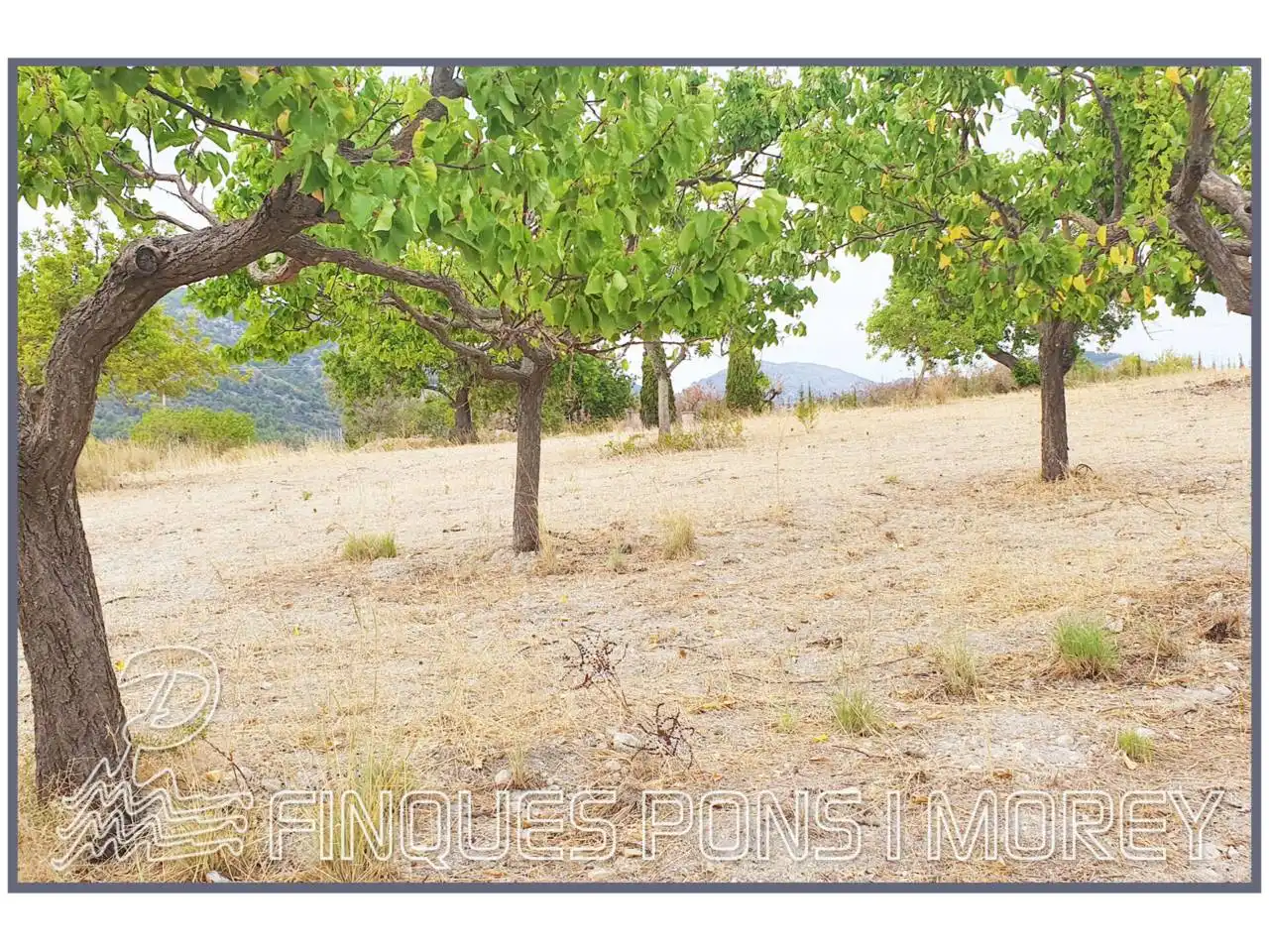 Terrain rustique à vendre à Poligono 12 Sn, imagen 10
