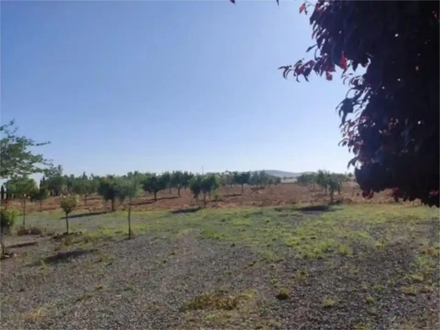 Finca rústica en venda en Consuegra amb Jardí privat i Moblat