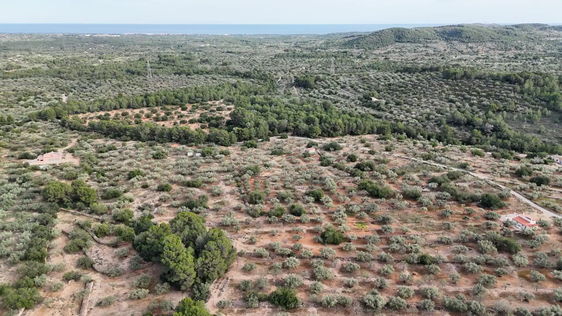 Terreno rustico in vendita a El Perelló, imagen 3