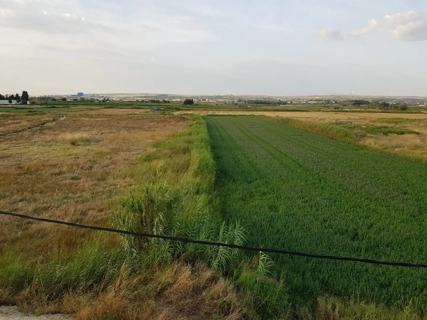 Casa o chalet en venta en Pastriz con Jardín privado
