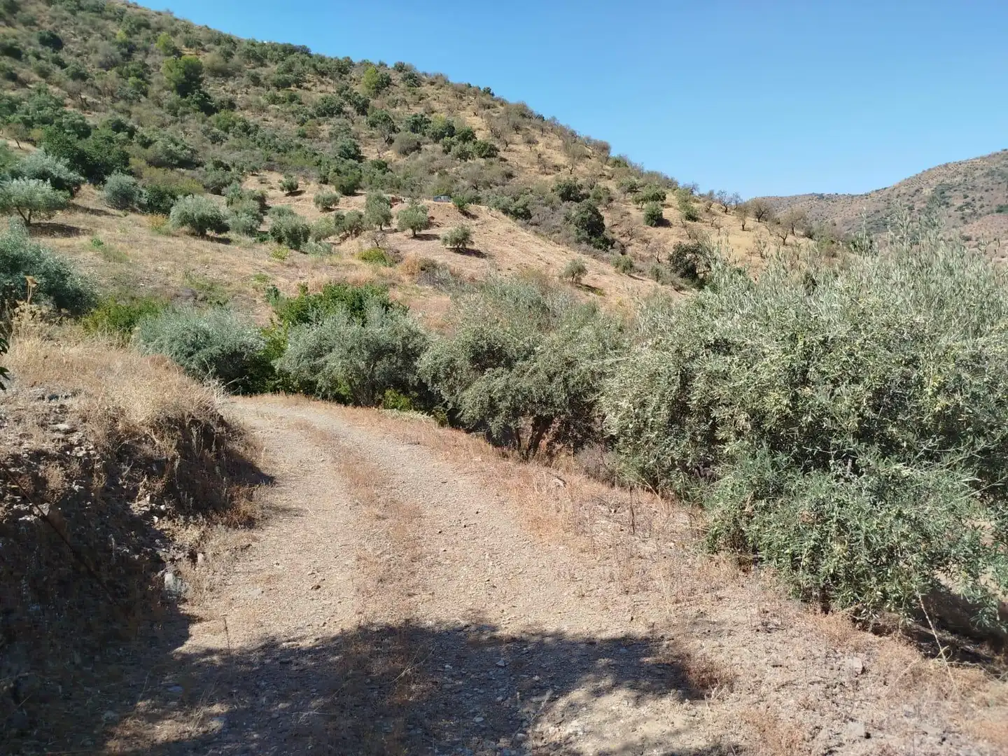 Terreni e lotti in vendita a Este